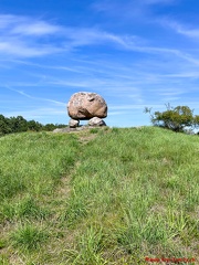 SE24.314